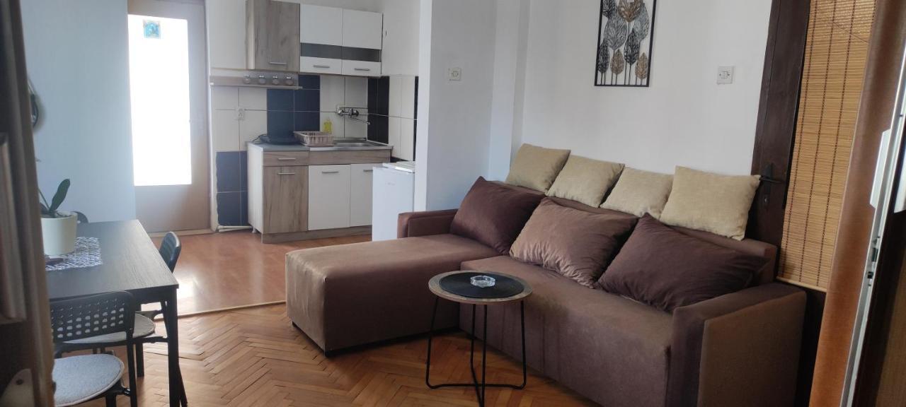 Apartment Mina Soko Banja Exteriér fotografie